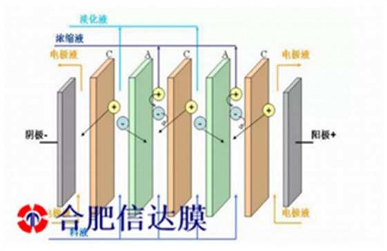 QQ截图20210115163141_副本