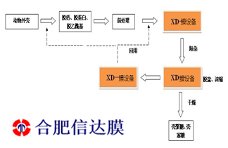 图片1_副本_副本