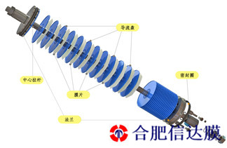 微信图片_202401120921191_副本