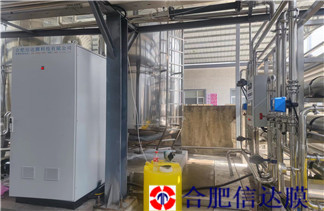 微信图片_202501081248431_副本